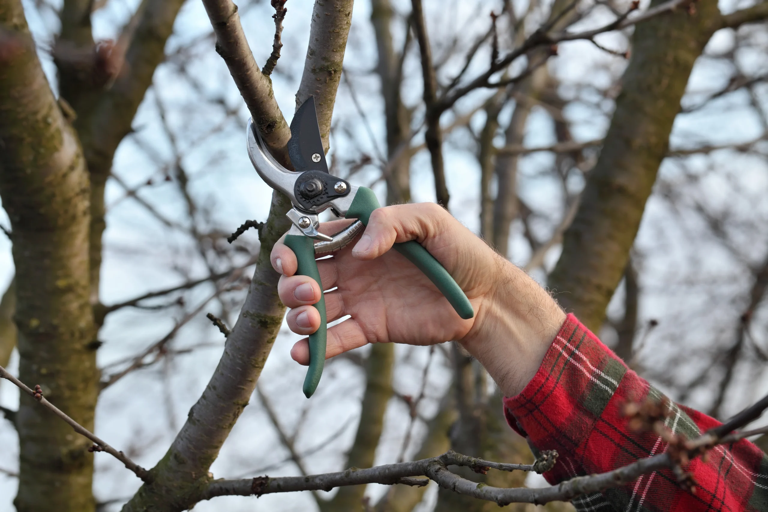 before-and-after-img