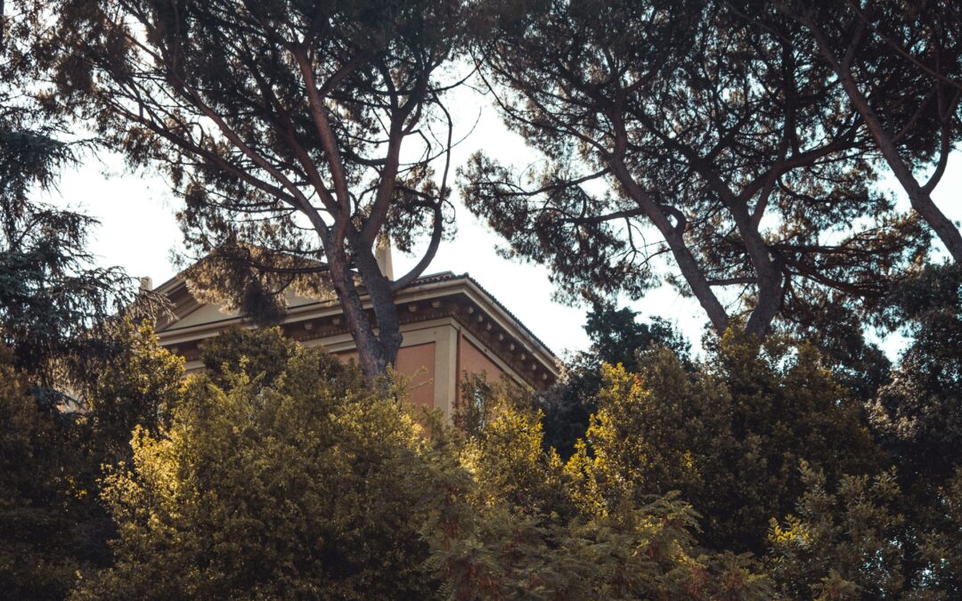 Trees With Crossing Branches Need Care