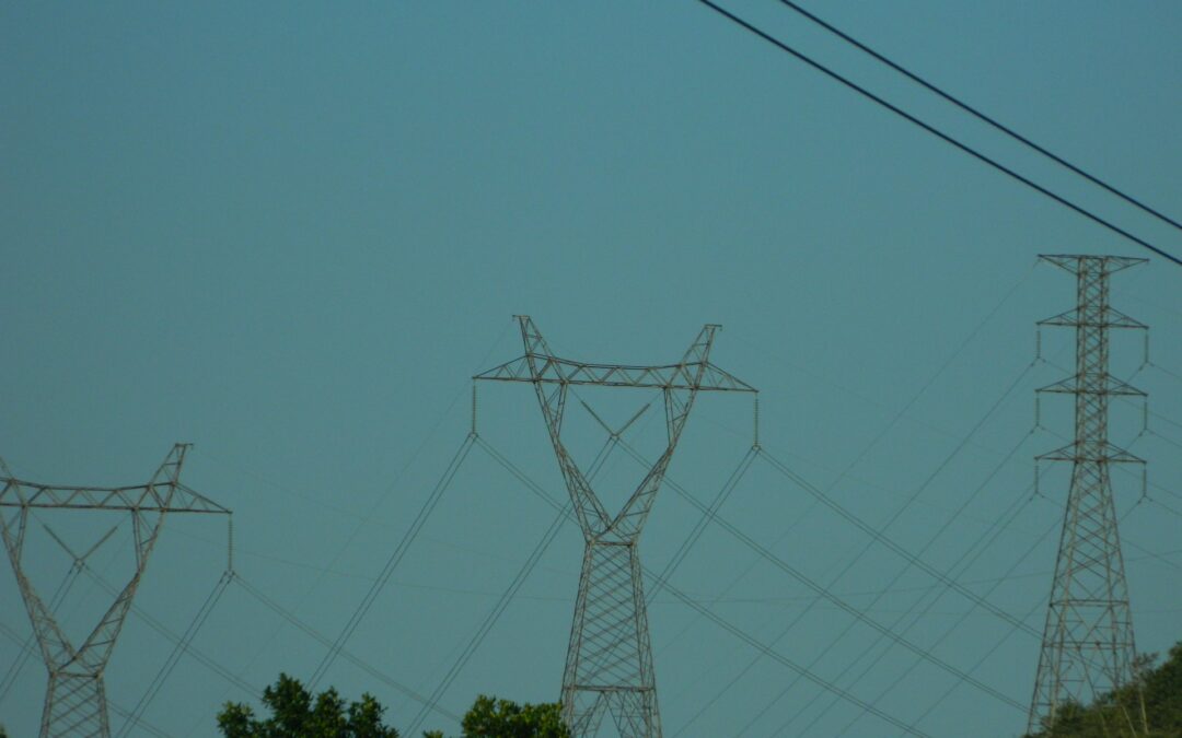Trees Growing Under Power Lines